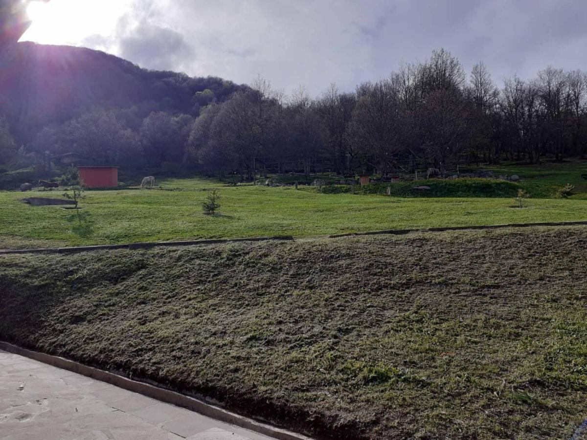 Ani Resort Artavaz Exterior foto
